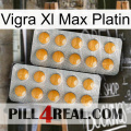 Vigra Xl Max Platinum levitra2
